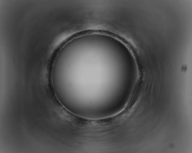 X0000102541311200808081512