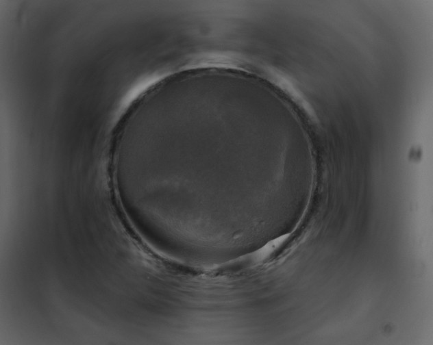 X0000102541312200808081512