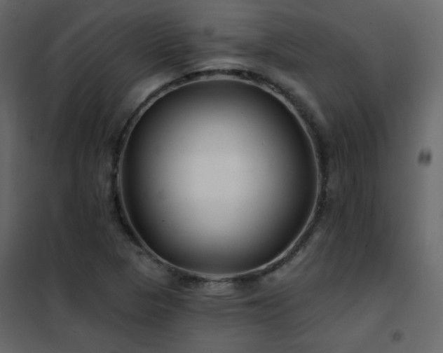 X0000102541313200808081512