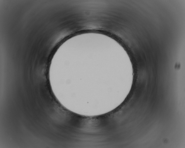 X0000102541314200808081512