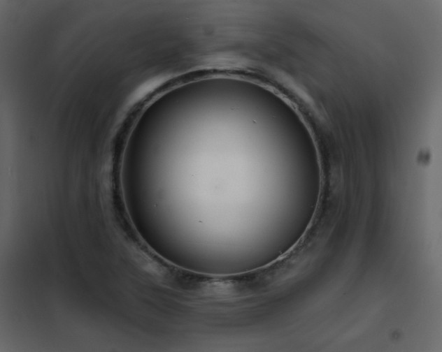X0000102541315200808081512