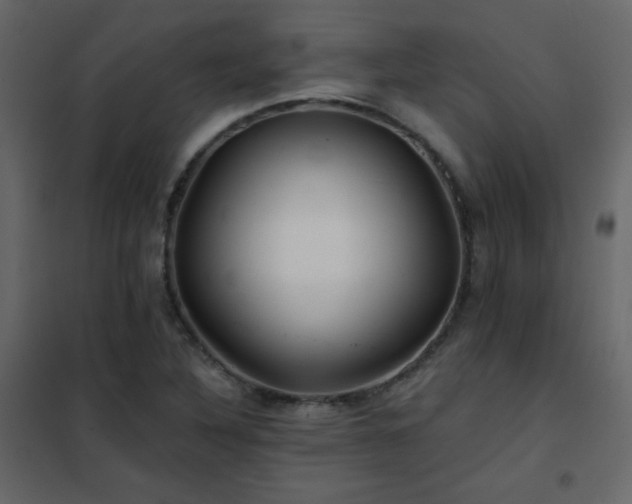 X0000102541316200808081512