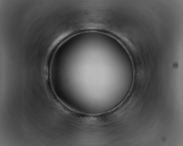 X0000102541317200808081512
