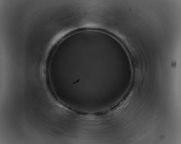 X0000102541319200808081512
