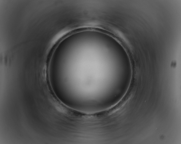X0000102541320200808081512
