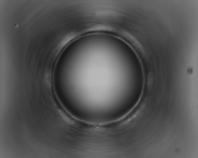 X0000102541321200808081512