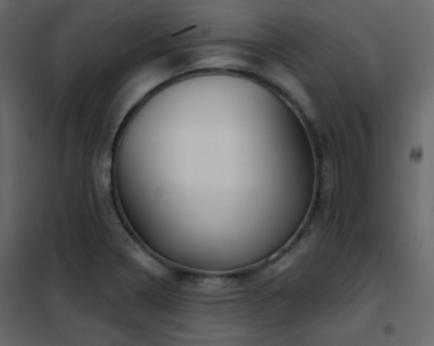 X0000102541322200808081512