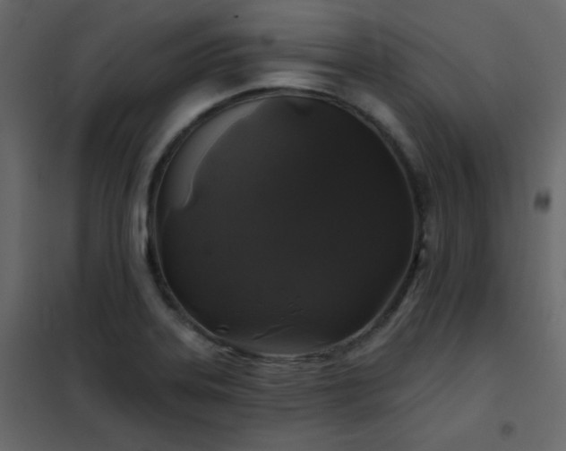 X0000102541323200808081512