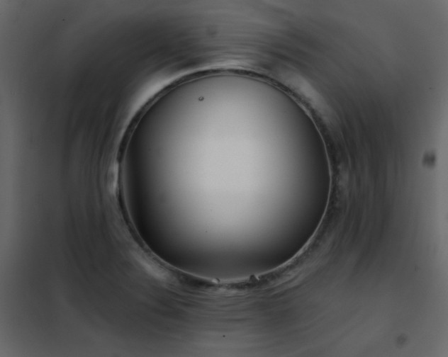 X0000102541324200808081512