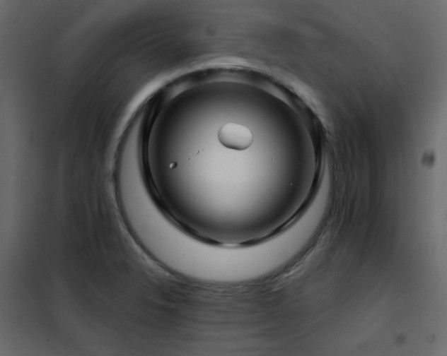 X0000102541326200808081512