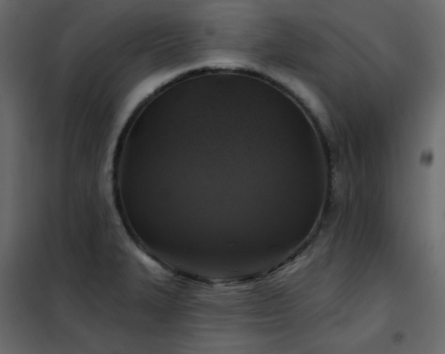 X0000102541327200808081512