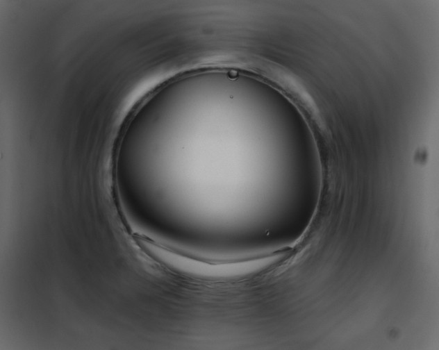 X0000102541328200808081512