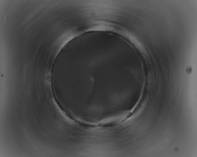 X0000102541329200808081512