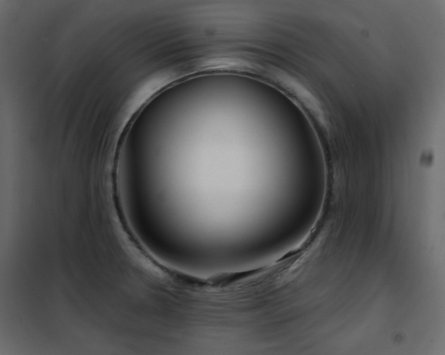 X0000102541330200808081512