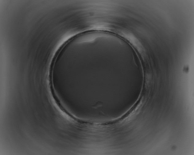 X0000102541331200808081512