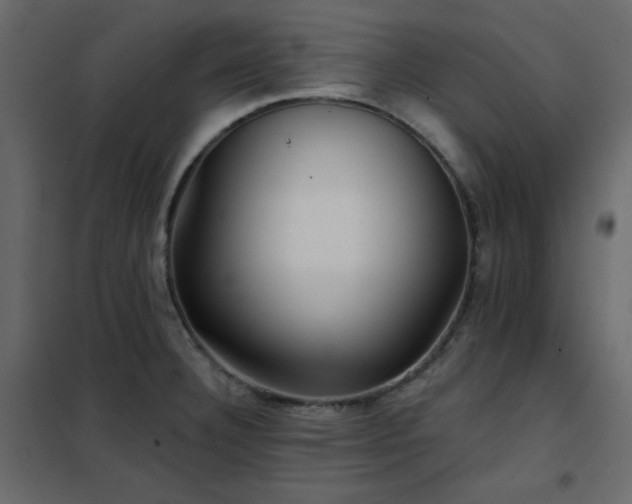 X0000102541332200808081512