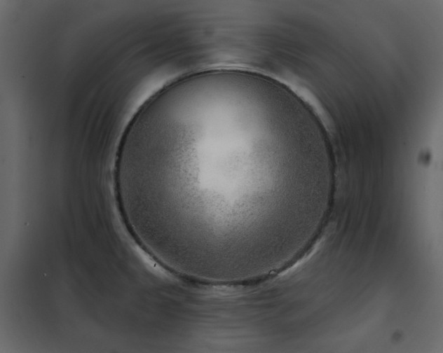 X0000102541333200808081512