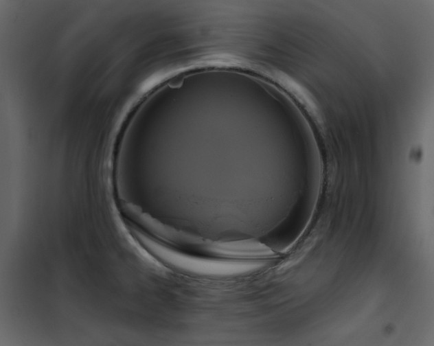 X0000102541334200808081512