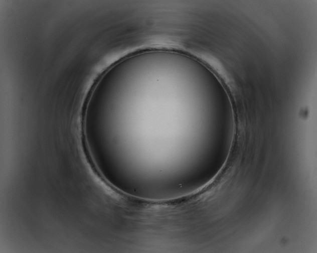 X0000102541335200808081512