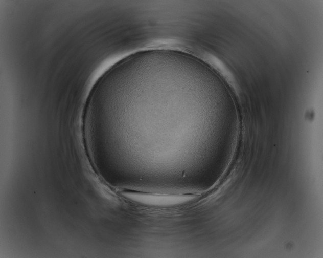 X0000102541336200808081512
