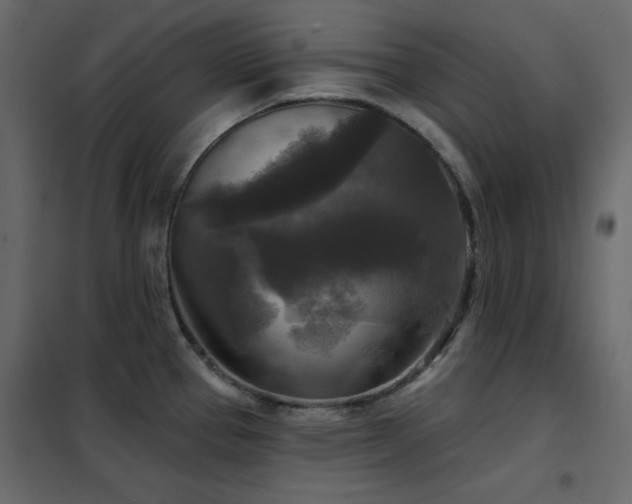 X0000102541337200808081512