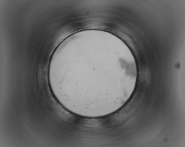 X0000102541338200808081512