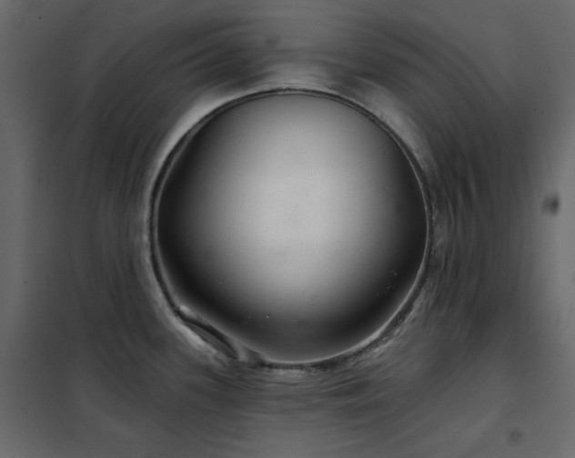 X0000102541339200808081512