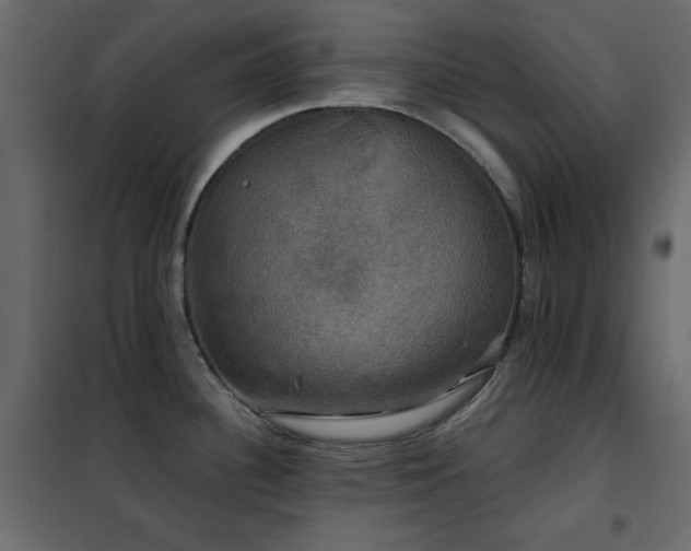 X0000102541340200808081512