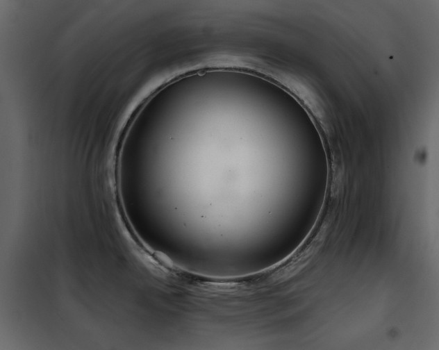 X0000102541342200808081512
