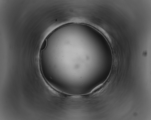 X0000102541343200808081512