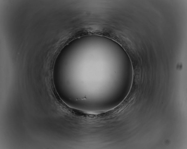 X0000102541345200808081512