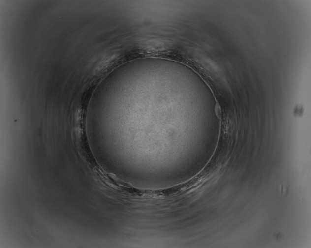 X0000102541346200808081512