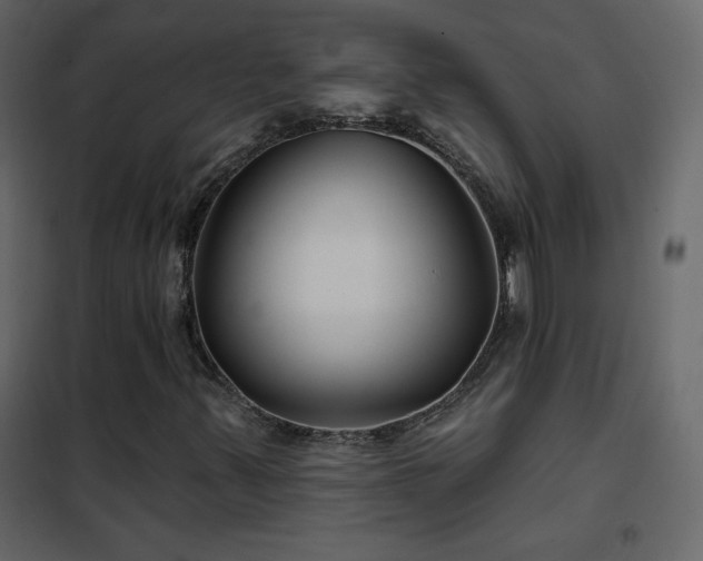 X0000102541347200808081512