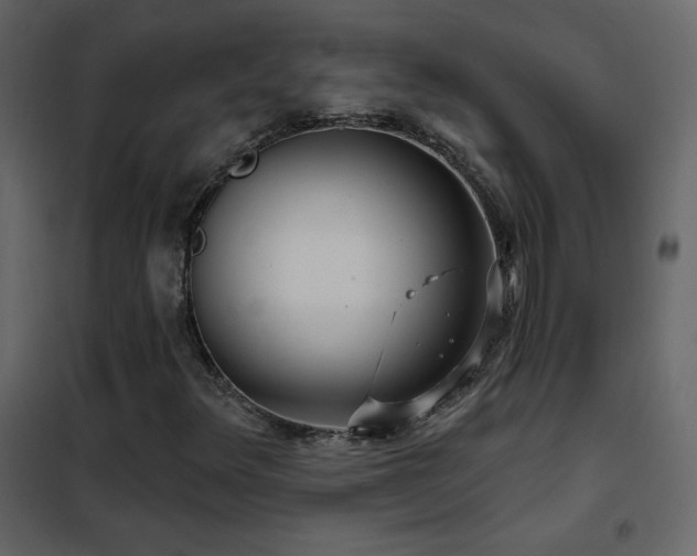 X0000102541348200808081512