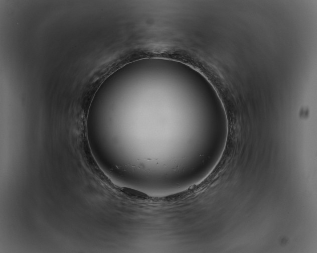 X0000102541349200808081512
