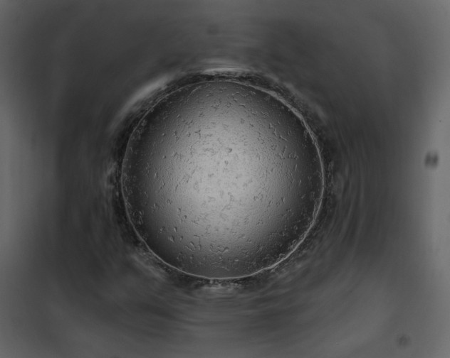 X0000102541351200808081512