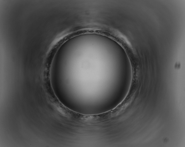 X0000102541352200808081512