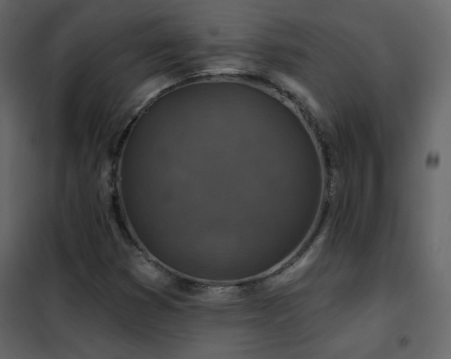 X0000102541353200808081512