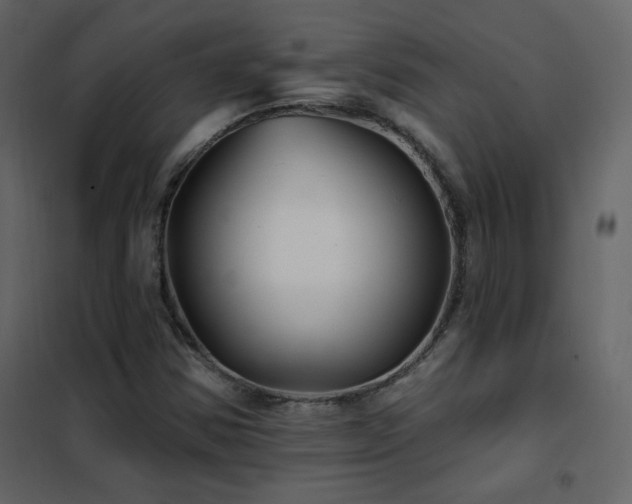 X0000102541354200808081512