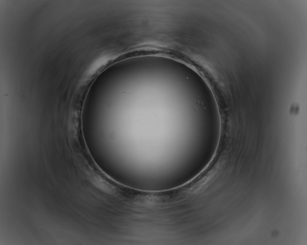 X0000102541355200808081512