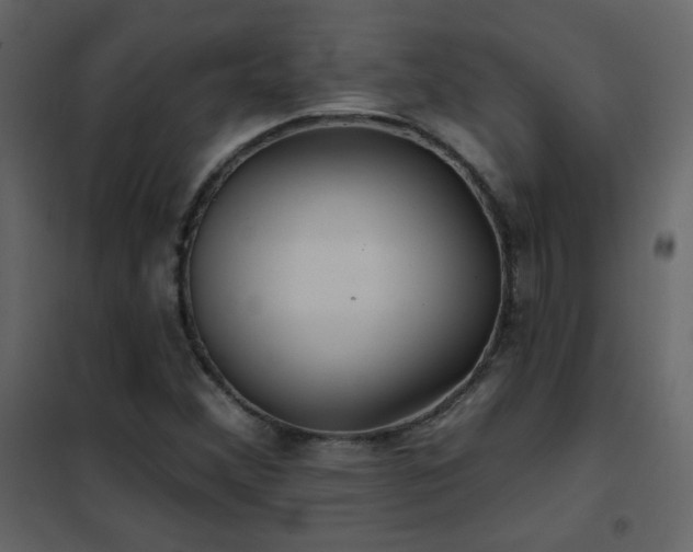 X0000102541356200808081512