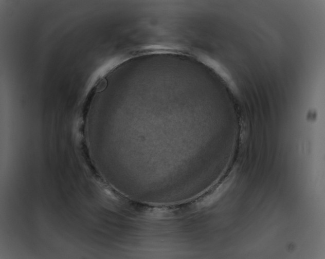 X0000102541357200808081512