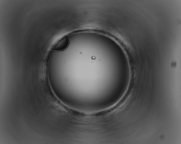 X0000102541358200808081512