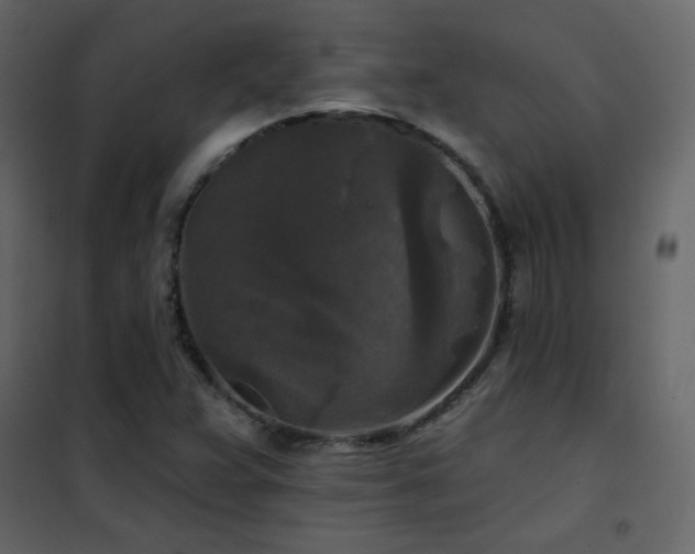 X0000102541359200808081512