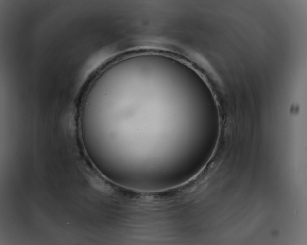X0000102541360200808081512