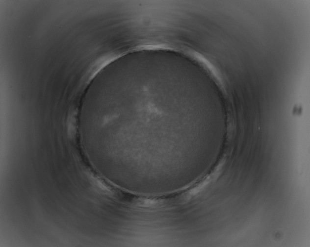 X0000102541361200808081512