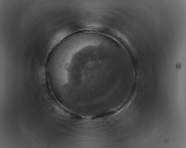 X0000102541362200808081512
