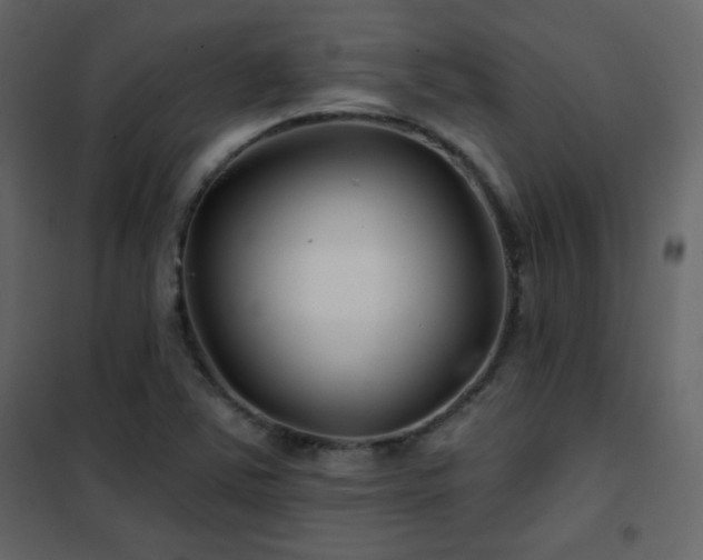 X0000102541363200808081512