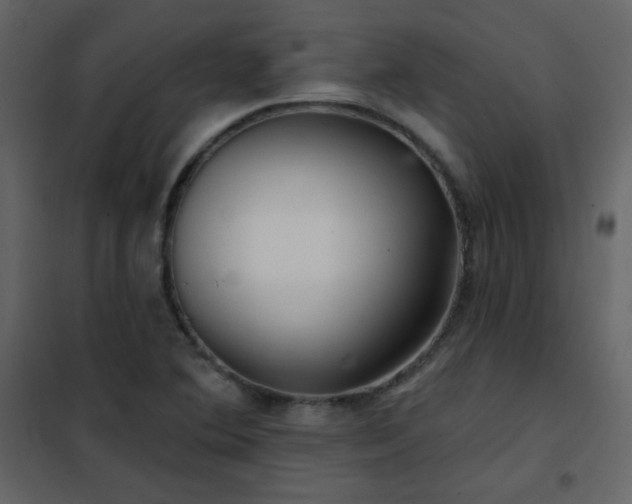 X0000102541364200808081511