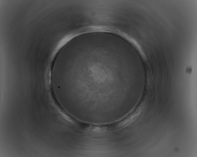 X0000102541365200808081511